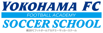 School Banner Logo